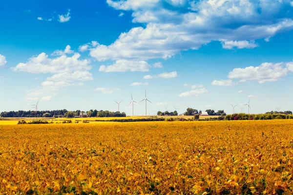 Американская Сельская Ветроэлектростанция — стоковое фото