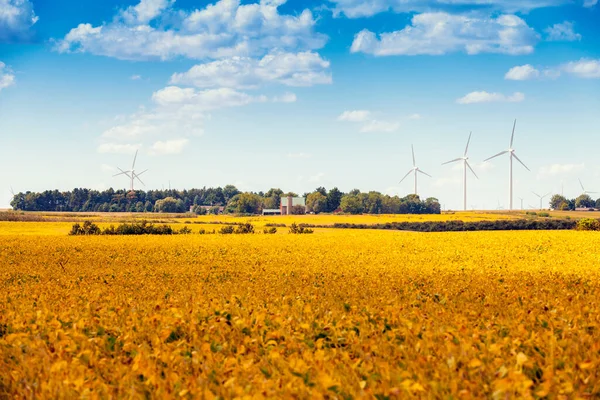 Американская Сельская Ветроэлектростанция — стоковое фото