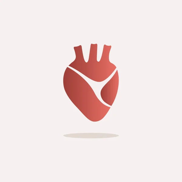 Ανθρώπινη Καρδιά Εικονίδιο Σκιά Λευκό Φόντο Εικονογράφηση Διάνυσμα — Διανυσματικό Αρχείο