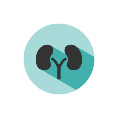 Yeşil daire üzerinde gölge ile Böbrekler simgesi. Vektör çizimi