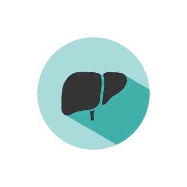 Yeşil daire üzerinde gölge ile Karaciğer simgesi. Vektör çizimi