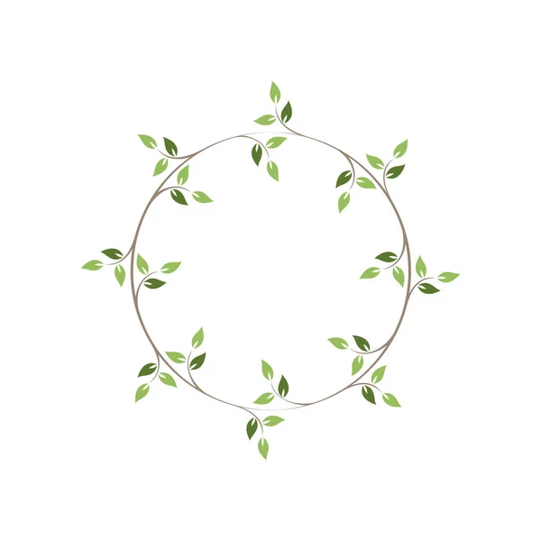 Cadres Ronds Floraux Vintage Couronne Lierre Circulaire Décorative Verte Illustration — Image vectorielle