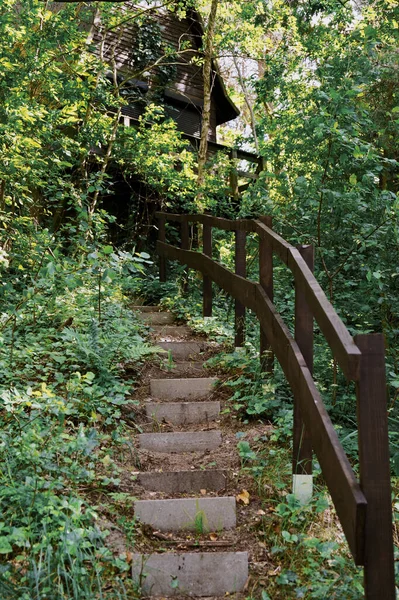 Abandoned Wooden House Woods Old Staircases Overgrown Green Plants Beautiful — Stock Photo, Image