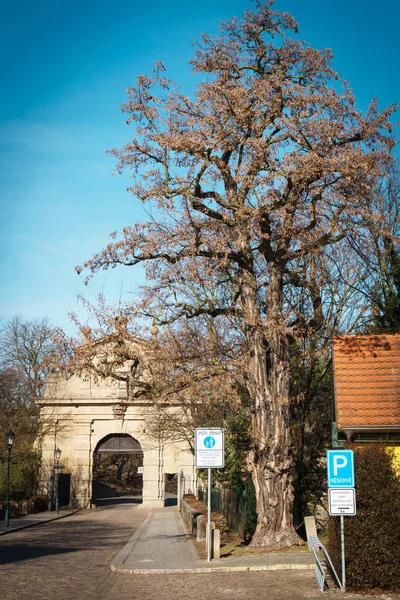 Visegrad 'ın girişi için kemer. Prag 'da. Çekçe.