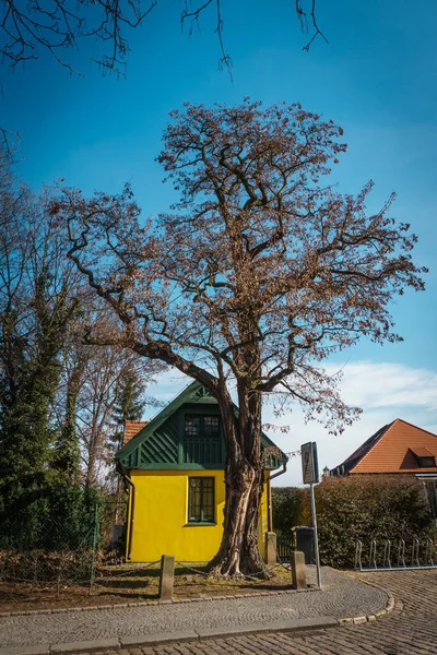 Visegrad 'da parlak sarı bir ev. Prag.