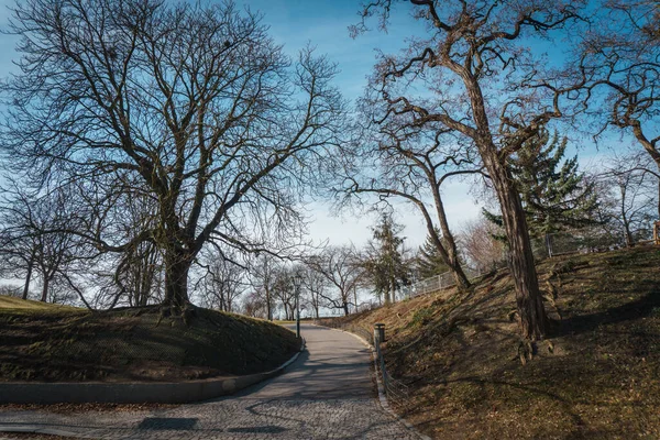 Visegrad Parkı, Prag 'da. Çek Cumhuriyeti.