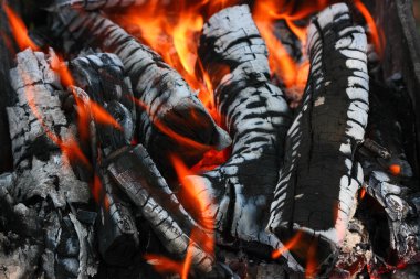 Burning wood. Texture of flames and burnt wood.