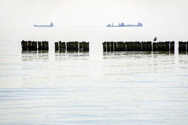 Gdynia'da gemi ve denize bakış