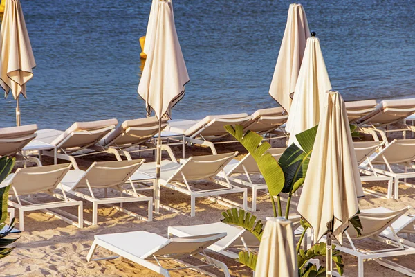 Sea Bay met jachten boten en parasol in Cannes — Stockfoto