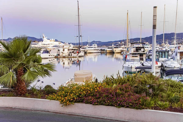 Mar marina baía com iates e barcos em Cannes — Fotografia de Stock