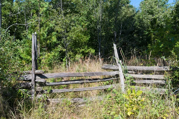 Overgrown split rail cedar farm fence on Manitoulin island — Stock Photo, Image