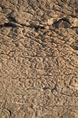 Tortul geologiccal tabakaları gösterilen kireçtaşı rock yüz Jeoloji duvar kağıdı arka plan, yıpranmış