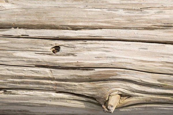 Fond d'écran en bois de cèdre argenté altéré — Photo