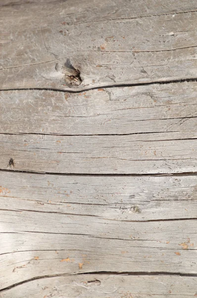Zvětralé stříbřitá cedrového dřeva dřeva pozadí tapetu — Stock fotografie