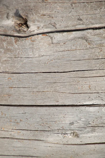 Verweerde zilverachtig ceder hout houten ondergrond behang — Stockfoto