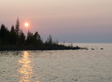 Kozalaklı ağaç siluetleri ile Lake Huron manzara günbatımı