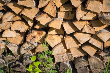 Kış arka plan yakın çekim için yığılmış yakacak odun kesme bölme