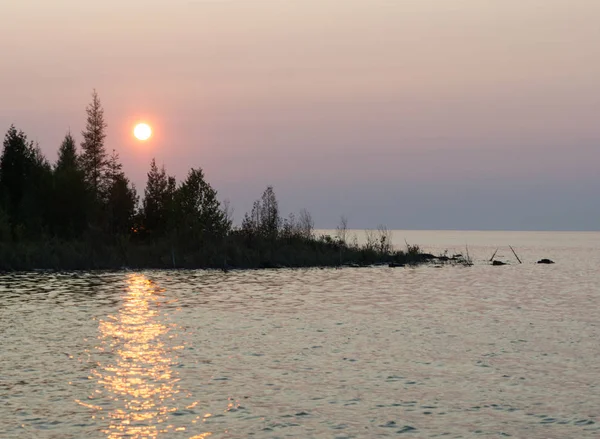 Lago Hurón paisaje puesta de sol con siluetas de coníferas —  Fotos de Stock