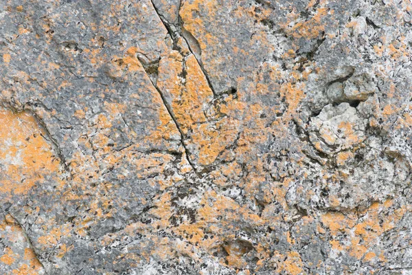 Established limestone boulder rock face with lichen — Stock Photo, Image