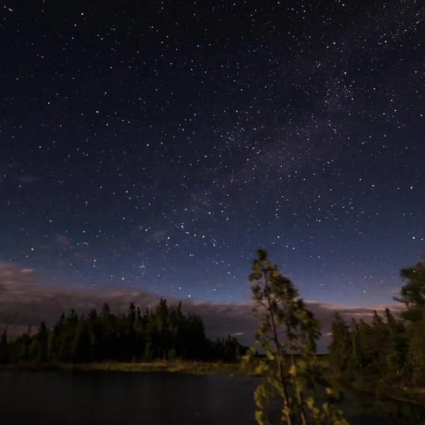 Lago y árboles bajo las estrellas a la luz de la luna — Foto de Stock