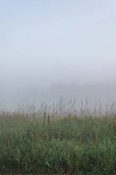 Louky Stromy Mlze Mlhavé Ráno Farmě Letní Ráno — Stock fotografie