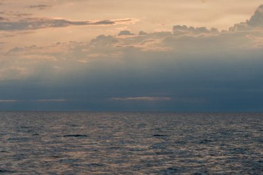 Gürcü koyunda şafak bulutlar ve gündoğumu ile muhteşem manzara
