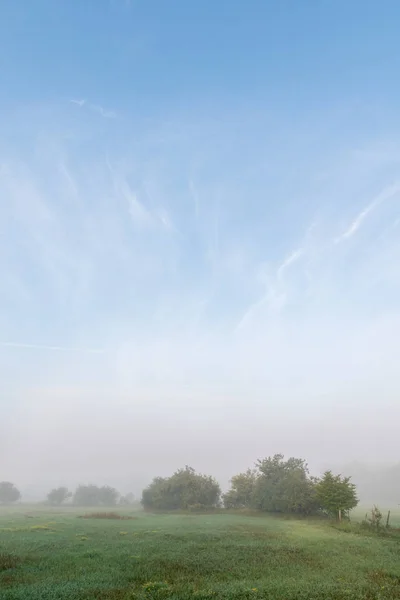 Пасовища Дерева Ранковому Тумані Блакитним Небом Круглими Хмарами Вище — стокове фото