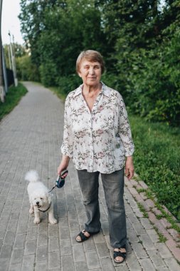 Kadın köpeğini Park'ta yürüyordunuz kıdemli