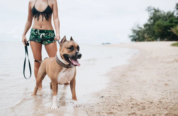Jovem Mulher Bonita Alegre Andando Com Seu Cão Praia — Fotografia de Stock