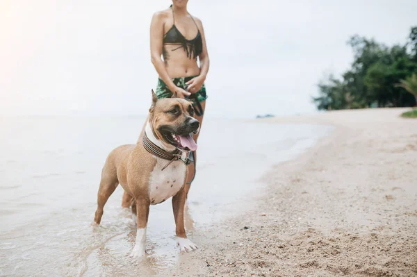 Jovem Mulher Bonita Alegre Andando Com Seu Cão Praia — Fotografia de Stock