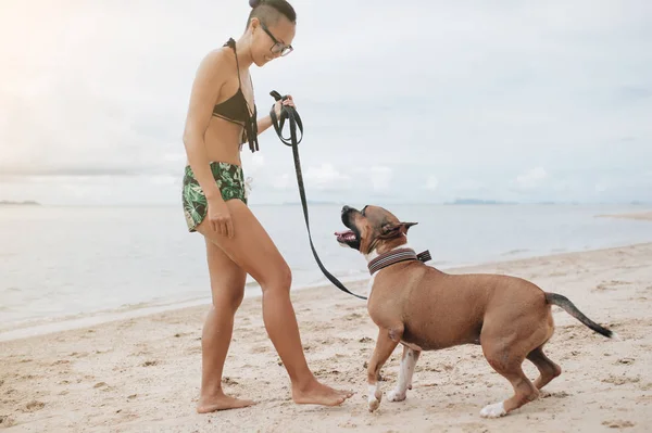 Jovem Mulher Bonita Alegre Óculos Brincando Com Seu Cão Praia — Fotografia de Stock