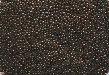 Texture of black sturgeon caviar clipart