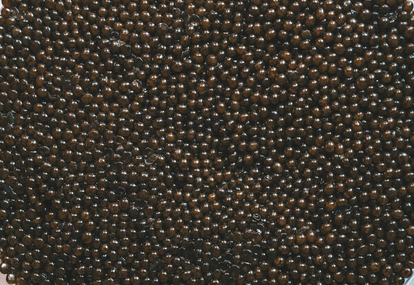 Texture of black sturgeon caviar