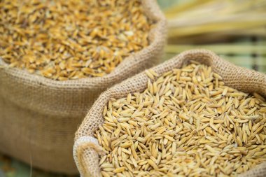 çeltik pirinç sac çanta içinde