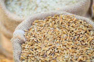 çeltik pirinç sac çanta içinde