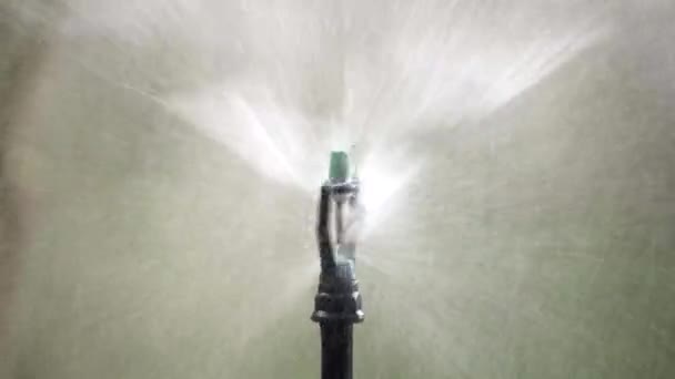 花园的水自动喷水灭火系统 — 图库视频影像