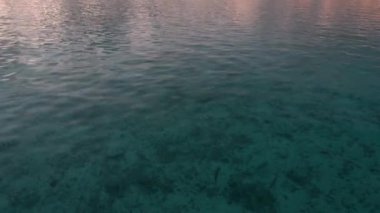 Deniz su altında balık