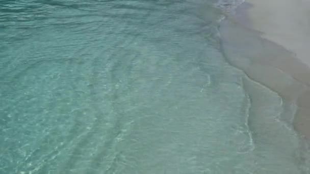 Plaja Tropicala Nisip Mare — Videoclip de stoc