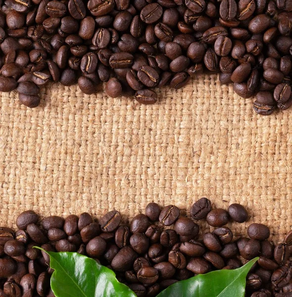 Linin çuval üzerinde kavrulmuş kahve çekirdeği — Stok fotoğraf
