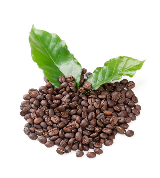 roasted coffee bean with leave on white background