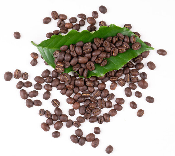 roasted coffee bean with leave on white background