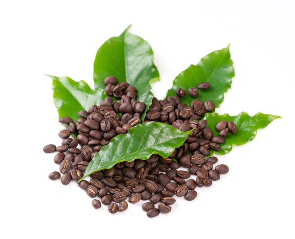 roasted coffee bean with leave on white background