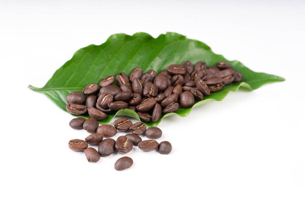 roasted coffee bean with leave on white background