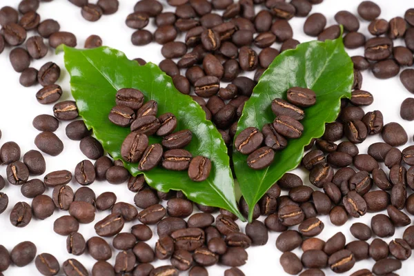 Pörkölt kávébab szabadságra fehér alapon — Stock Fotó