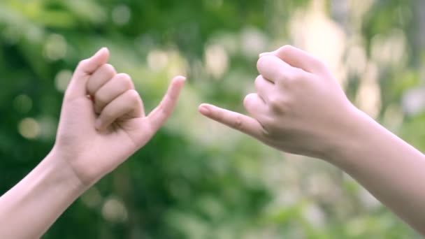 手は自然の背景に互いの小指を引っ掛け 約束の概念 — ストック動画