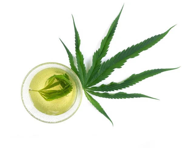 Marihuana Kräutertee Glas Teetasse Serviert — Stockfoto