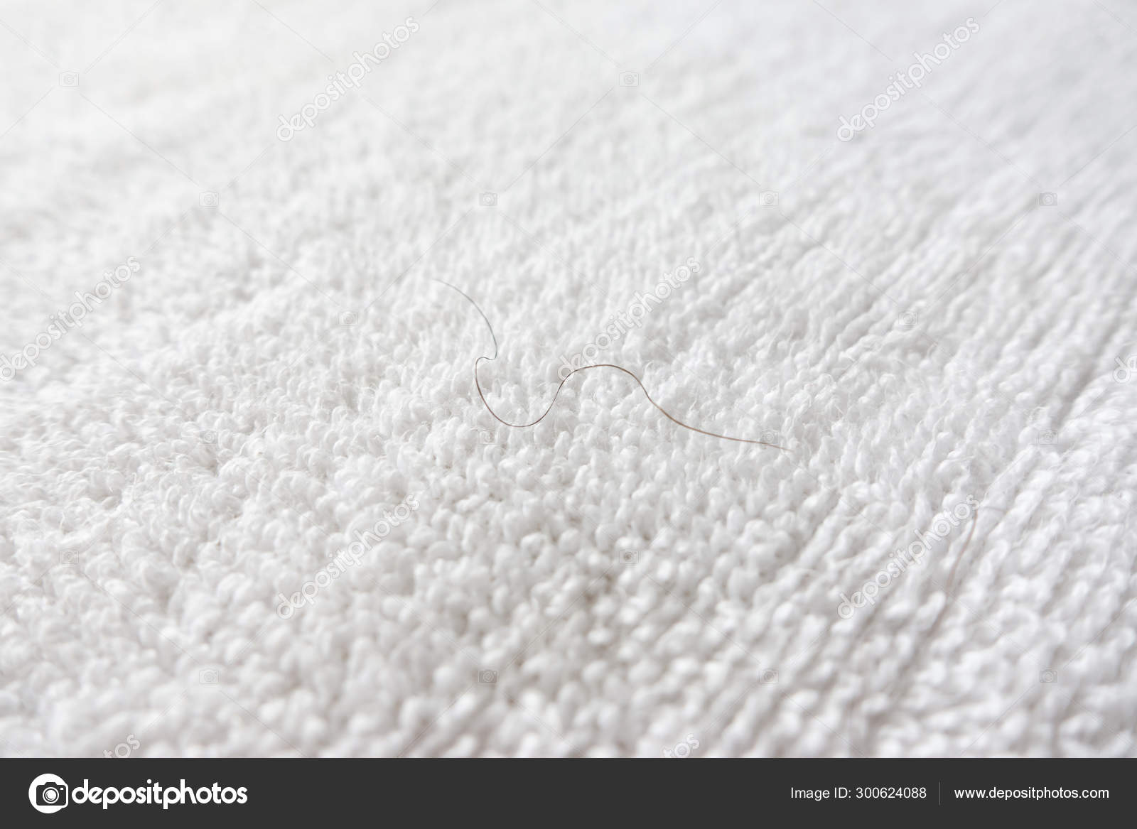 Pubic Hair On White Towel Stock Photo C Anankkml 300624088