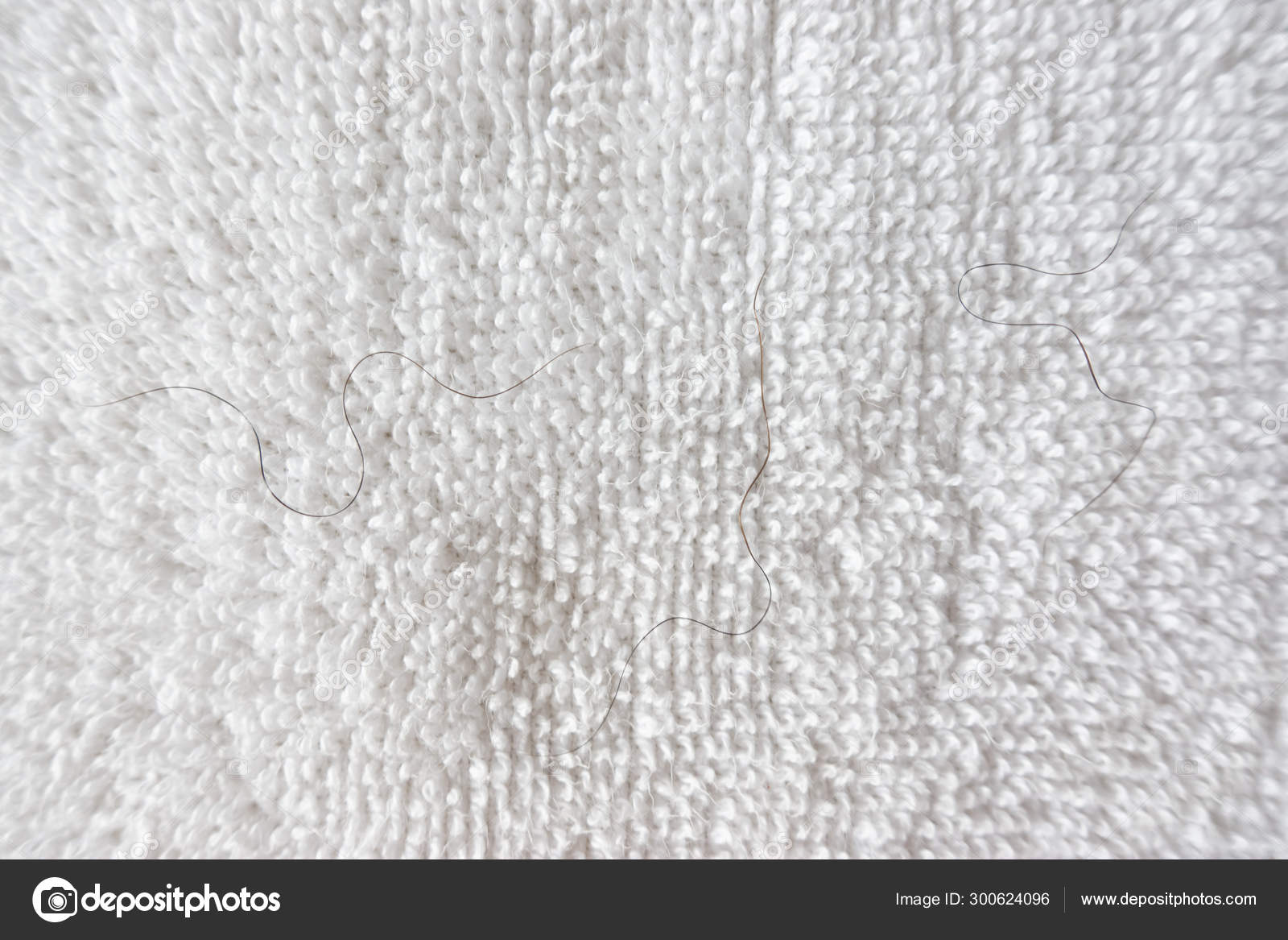 Pubic Hair On White Towel Stock Photo C Anankkml 300624096