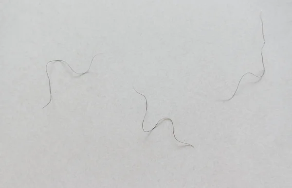 Лобковые волосы падают на пол спальни — стоковое фото
