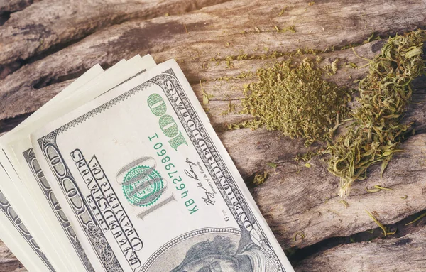 Gedroogde Cannabis Medicinale Marihuana Met Dollarbiljet — Stockfoto